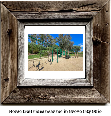 horse trail rides near me in Grove City, Ohio